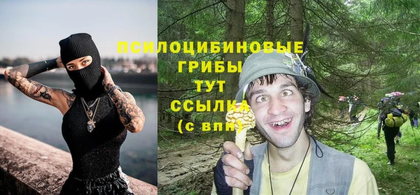 бошки Ельня