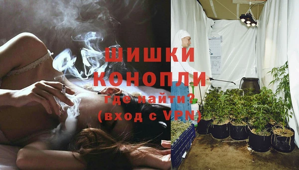 бошки Ельня