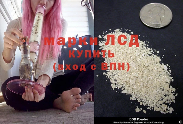 бошки Ельня